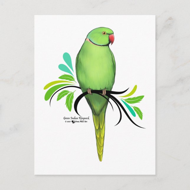Green Indian Ringneck Parrot Postcard (Front)