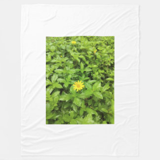 Green into Sun flower Fleece Blankets
