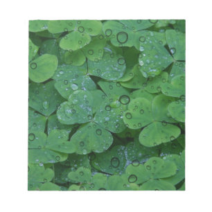 Green Irish Clover Notepad
