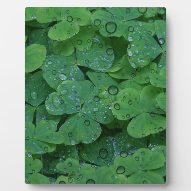 Green Irish Clover Plaque (Front)