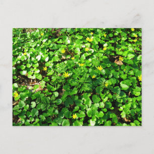 green is beautiful postcard