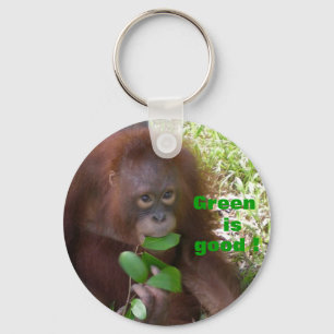Green is Good Vegetarian Animal Key Ring