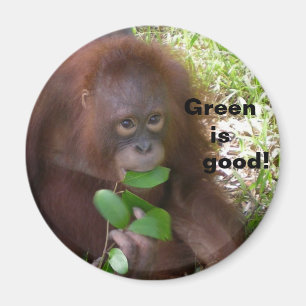 Green is Good Vegetarian Diet Magnet