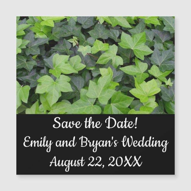 Green Ivy Botanical Print (Front)