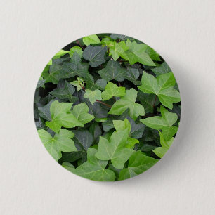Green Ivy Botanical Print 6 Cm Round Badge