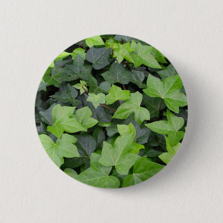 Green Ivy Botanical Print 6 Cm Round Badge