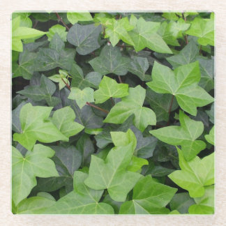 Green Ivy Botanical Print Glass Coaster