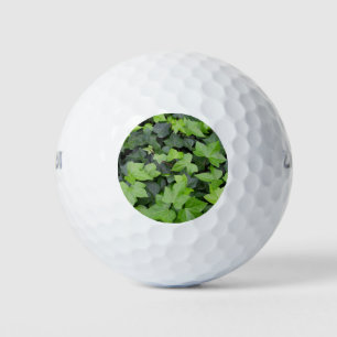 Green Ivy Botanical Print Golf Balls
