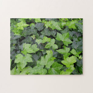 Green Ivy Botanical Print Jigsaw Puzzle
