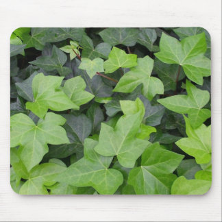 Green Ivy Botanical Print Mouse Pad