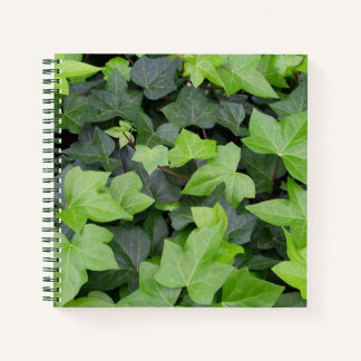 Green Ivy Botanical Print Notebook