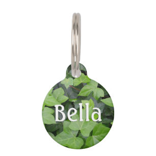 Green Ivy Botanical Print Pet Tag