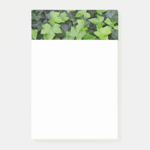 Green Ivy Botanical Print Post-it Notes