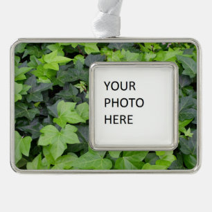 Green Ivy Botanical Print Silver Plated Framed Ornament