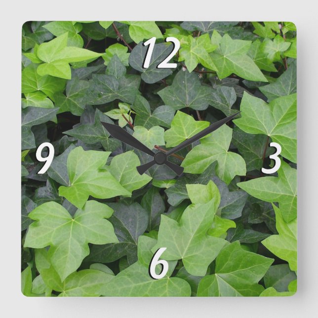 Green Ivy Botanical Print Square Wall Clock (Front)