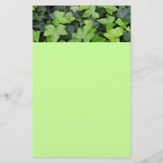 Green Ivy Botanical Print Stationery