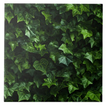 Green Ivy Leaves Botanical Illustration