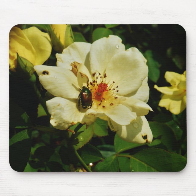Green Japanese Beetle on Yellow Rose floral Mouse Pad (Front)