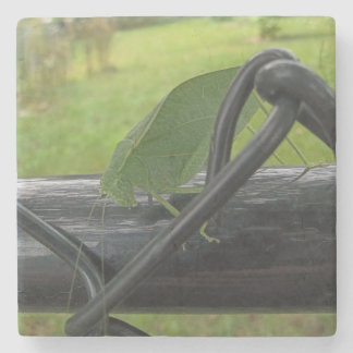 Green Katydid on Black Fence Stone Coaster