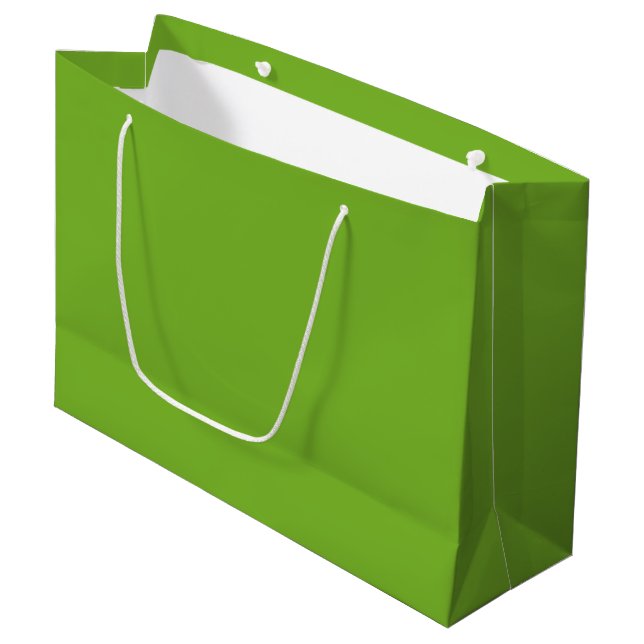 Green Large Gift Bag (Front Angled)