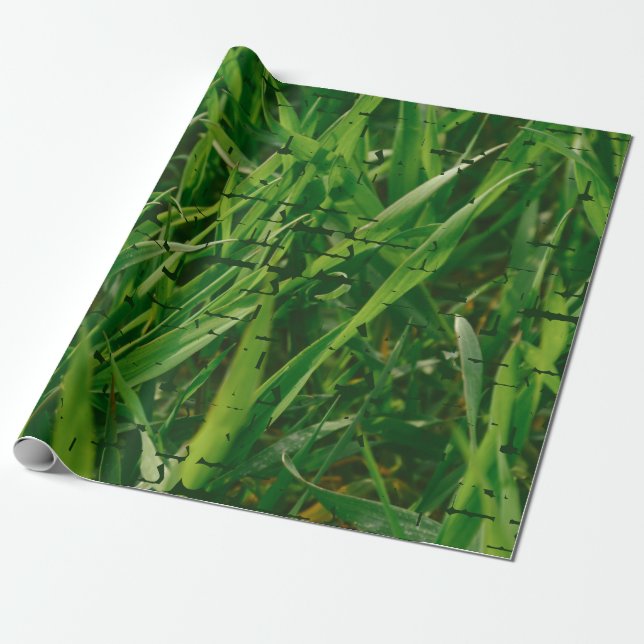 Green Lawn Care Service - Thank you! - Wrapping Paper (Unrolled)