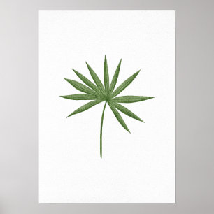 Green Leaf 2 Poster