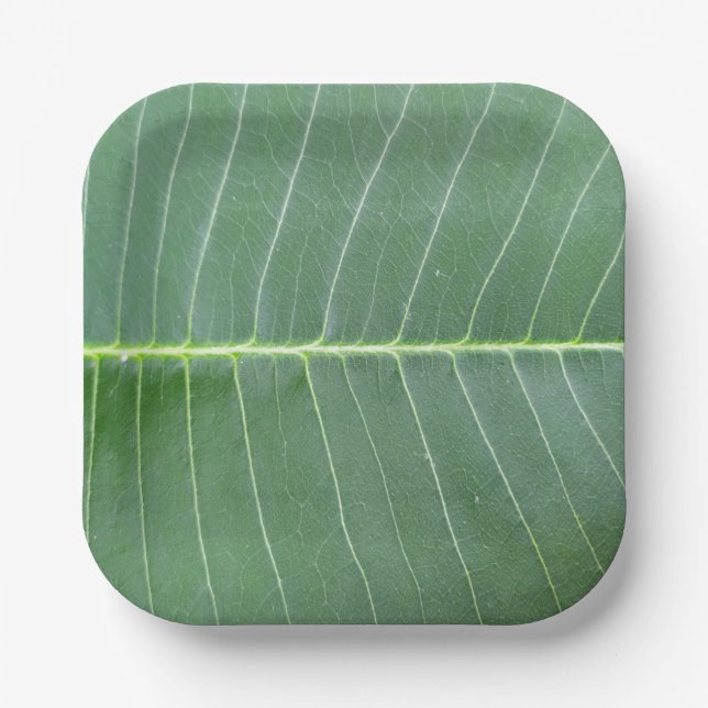 Green Leaf and Light White Line Design 7" Square Paper Plate (Front)
