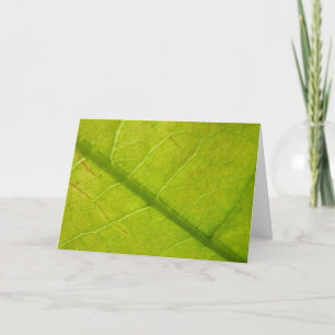 Green Leaf Botanical Nature Photography Card