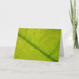 Green Leaf Botanical Nature Photography Card