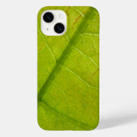 Green Leaf Botanical Nature Photography