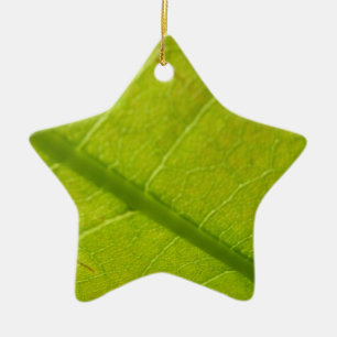 Green Leaf Botanical Nature Photography Ceramic Tree Decoration