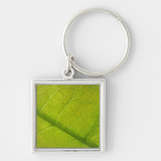 Green Leaf Botanical Nature Photography Key Ring
