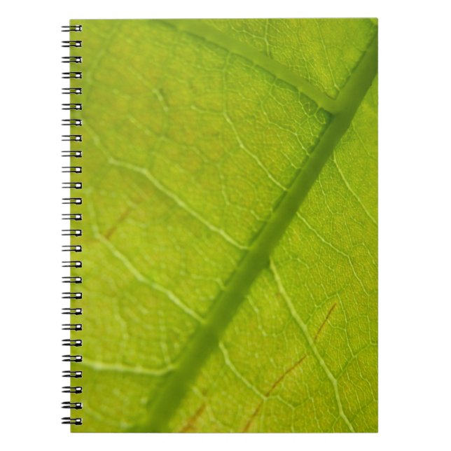 Green Leaf Botanical Nature Photography Notebook (Front)