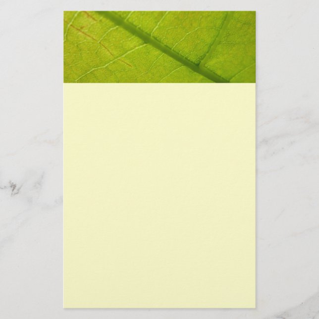 Green Leaf Botanical Nature Photography Stationery (Front)
