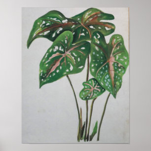 Green Leaf Botanical Wall Art Print