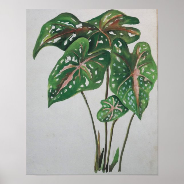 Green Leaf Botanical Wall Art Print (Front)
