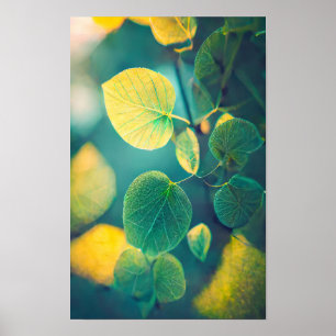 Green Leaf Calm Tranquil Nature Peaceful Season  Poster