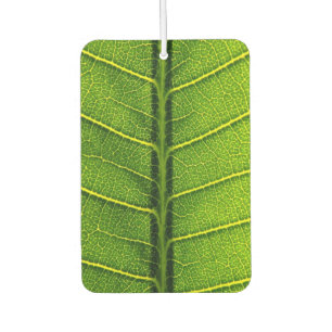Green leaf car air freshener