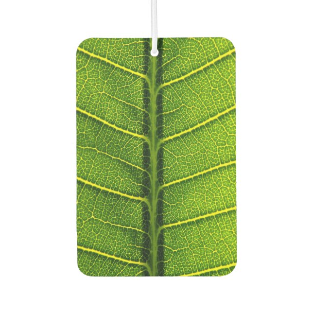 Green leaf car air freshener (Front)