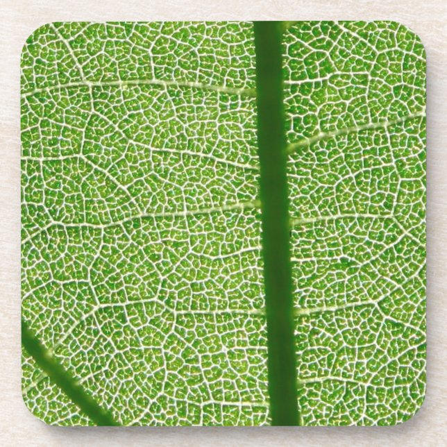 Green Leaf Close Up Coaster (Front)