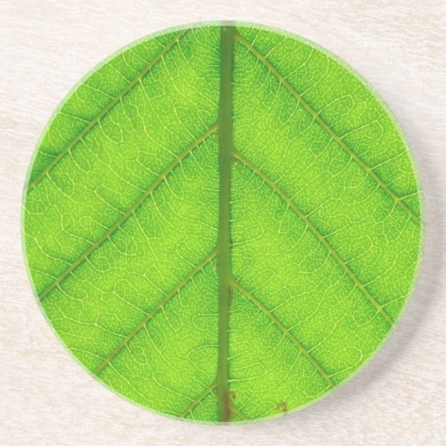 Green Leaf Coaster (Front)