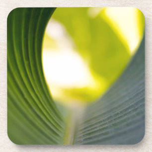 Green leaf coaster