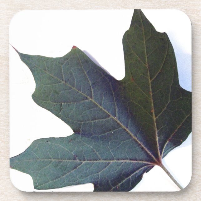Green Leaf Coaster (Front)