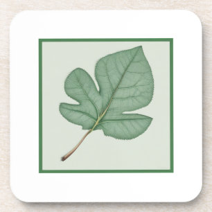 Green Leaf Coaster