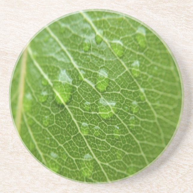 Green Leaf Coaster (Front)