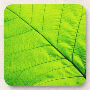 Green Leaf Coasters