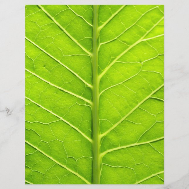 Green leaf flyer (Front)