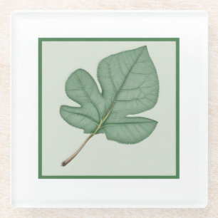 Green Leaf Glass Coaster