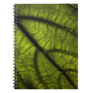 Green leaf in close up photography notebook