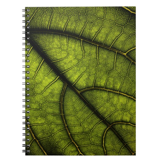Green leaf in close up photography notebook (Front)
